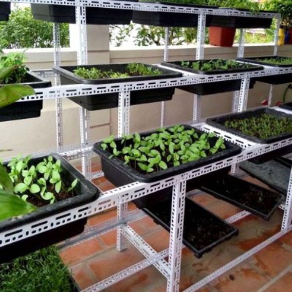 Kệ trồng rau sạch tại nhà - Giá Kệ Vương Thắng - Công ty TNHH Sản Xuất Và Thương Mại Vương Thắng